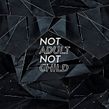 Not adult, not child. Un proyecto de Animación y Dirección de arte de Park | Creative Studio - 26.03.2019