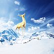 Deer God. Retoque fotográfico projeto de Carlos Jimenez Varela - 10.05.2019