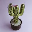 Plantas. Un projet de Artisanat, Créativité, Décoration, Direction artistique , et Papercraft de Paola Alonso - 12.06.2019