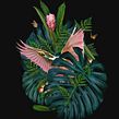 AMOR POR MÉXICO.  project by Ricardo Luévanos - 05.27.2017