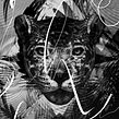 AYAHUASCA. Un progetto di Illustrazione tradizionale e Illustrazione digitale di Javier Casas "Moscko" - 27.05.2019