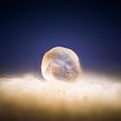 Arena del Sahara (macro y macro extremo) Ein Projekt aus dem Bereich Fotografie von Sergi Gomez Garcia - 21.02.2019