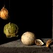 Homenaje macro a Cotán, con pimientas.. Un proyecto de Fotografía y Fotografía artística de Sergi Gomez Garcia - 21.06.2019