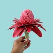 Torch ginger. Un projet de 3D, Beaux Arts, Scénographie , et Papercraft de Diana Beltran Herrera - 03.07.2019