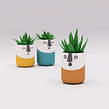 Happy Planter Collection Ein Projekt aus dem Bereich 3-D-Modellierung von Agustín Arroyo - 12.07.2019
