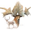 ¡Este Pollo es un Tiranosaurio!. Un proyecto de Ilustración tradicional e Ilustración digital de Román García Mora - 15.04.2017