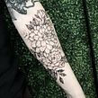 Tatuaje Botánico. Tattoo Design, and Traditional illustration project by Polilla Tattoo - 07.16.2019