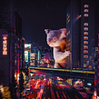 Animales Nocturnos. Un proyecto de Retoque fotográfico de Carlos Jimenez Varela - 06.08.2019