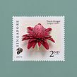 Torch ginger stamp. . Een project van 3D,  Beeldende kunst, Collage, Beeldhouwwerk, Fotografie, Traditionele illustratie y Papercraft van Diana Beltran Herrera - 13.08.2019