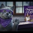 Champion Cat Ninja. 3D, Animação 3D, Animação de personagens, e Design de personagens 3D projeto de Juan Paulo Mardónez - 19.08.2019