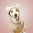 HEY Puppies Ein Projekt aus dem Bereich Modefotografie von Santos Román - 04.10.2019