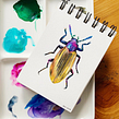 DIARIOS - MIS INSECTOS. Ilustração tradicional, e Pintura em aquarela projeto de Paulina Maciel · Canela - 04.10.2019