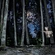 Después de caer del cielo. Photograph, Fine-Art Photograph, Portrait Photograph, Digital Photograph, and Outdoor Photograph project by Cristias Rosas Chocano - 01.27.2020