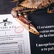 Oysters & Co.. Un proyecto de Br, ing e Identidad, Dirección de arte, Diseño de logotipos e Ilustración tradicional de Monotypo Studio - 02.02.2020