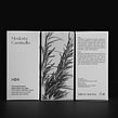 Modesta Cassinello Cosmetics. Br, ing, Identit, Editorial Design, and Packaging project by Plácida - 02.10.2020
