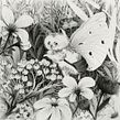Slumber, Exposición individual 2017. Fine Arts, Pencil Drawing, and Traditional illustration project by Siamés Escalante - 08.09.2017