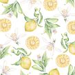 LIMONES. Un proyecto de Pintura a la acuarela de Cristina Cilloniz - 21.02.2020