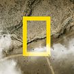 NatGeo • IDs. Un proyecto de 3D, Animación 2D, Animación 3D, Diseño gráfico, Edición de vídeo, Post-producción fotográfica		 y Motion Graphics de Martin Ferdkin - 01.02.2016