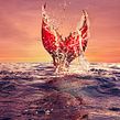 Virgin Voyages Campaign. Color Correction, Photo Retouching, Photograph, Post-production, and Audiovisual Post-production project by Harrison Kuykendall - 03.12.2020