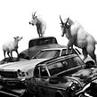 Migration. Collage, Digital Photograph, and Fine Arts project by Nick Pedersen - 03.26.2020