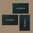 Consilium. Tu apoyo para seguir creciendo. Br, ing, Identit, Poster Design, Logo Design, and Graphic Design project by Gabriel Sencillo - 03.31.2020
