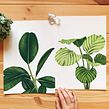 Colección Botánica Dos. Un progetto di Illustrazione tradizionale, Illustrazione botanica e Illustrazione digitale di Isabela F - 28.08.2019