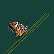 Malay Lacewing butterfly . Projekt z dziedziny Concept art,  Projektowanie 3D, Projektowanie postaci 3D i Rzeźba użytkownika Diana Beltran Herrera - 04.06.2020