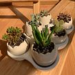 Caja de Huevos. Un progetto di Ceramica di La Pomona - 01.04.2018