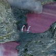 Surreal landscapes Ein Projekt aus dem Bereich 3D, Design, 3-D-Design, Beleuchtungsdesign und Digitales Design von Pablo Schiavo - 02.01.2020