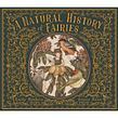 A Natural History of Fairies. Children's Illustration, and Traditional illustration project by Jessica Roux - 09.29.2020