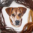 Pet Portrait Collection . Bordado projeto de Emillie Ferris - 16.07.2017