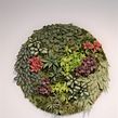 Circular paper wall garden. Arts, Crafts, Decoration, and Paper Craft project by Eileen Ng - 07.21.2020
