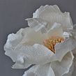 Single paper flowers. Arts, Crafts, Decoration, and Paper Craft project by Eileen Ng - 07.21.2020