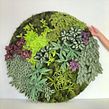 Circular paper wall garden. Projekt z dziedziny Craft,  Dekoracja wnętrz i Papercraft użytkownika Eileen Ng - 21.07.2020