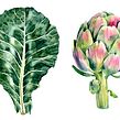 Aquarelas Botânicas. Botanical Illustration, and Watercolor Painting project by Luli Reis - 08.12.2020