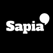 Sapia, Comunicación Pública y de Gobierno. Logo Design project by Marcelo Sapoznik - 09.04.2020