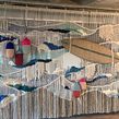 Sede do WYGROUP: Peça em Macramé com Tapeçaria. Arts, Crafts, and Fiber Arts project by Diana Cunha - 09.10.2020