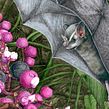 Murcielagos frugívoros de los Tuxtlas Veracruz. Un proyecto de Ilustración tradicional, Ilustración botánica y Pintura a la acuarela de Balamoc - 01.01.2016