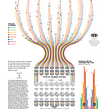 Housing beyond the pandemic Ein Projekt aus dem Bereich Informationsdesign und Infografik von Diana Estefanía Rubio - 19.10.2020