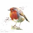 Round robin. Watercolor Painting project by Sarah Stokes - 10.22.2020