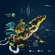 Identidad visual, Centro Interactivo del Canal de Panamá. Br, ing, Identit, Collage, Art Direction, Digital Illustration & Infographics project by Estudio Agite - 10.23.2020