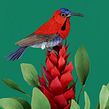 Sunbird scene . Un progetto di 3D, Composizione fotografica, Fotografia, Fotografia artistica, Fotografia di prodotti e Papercraft di Diana Beltran Herrera - 31.10.2020