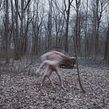 Lieber Geist  (2016) / Querido Fantasma Ein Projekt aus dem Bereich Fotografie, Analogfotografie, Artistische Fotografie und Außenfotografie von Irene Cruz - 15.05.2016