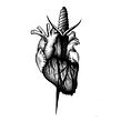 Illustration archives: various. Botanical Illustration, Traditional illustration, Ink Illustration, and Tattoo Design project by Sophie Mo - 11.02.2020