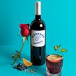 Alfonsina Vermouth . Art Direction, and Photograph project by Josefina Mogrovejo - 11.09.2020