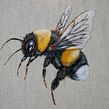 White Tailed Bumble Bee. Un proyecto de Bordado de Yulia Sherbak - 10.11.2020