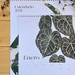 Calendario 2021. Projekt z dziedziny  R, sunek, Design, Trad, c, jna ilustracja, R, sunek botaniczn, Papercraft,  Malarstwo i Malowanie akwarelą użytkownika Isabela F - 10.11.2020