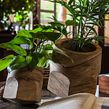 Macetas Terra Dual. Woodworking, Product Design & Industrial Design project by Estudio Caribe - 09.19.2018