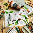 Kaiku jurado de concurso Ein Projekt aus dem Bereich Traditionelle Illustration von Alicia Aradilla - 06.07.2020