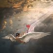 The Fall Of Lucifer. Un proyecto de Composición fotográfica de Jvdas Berra - 17.07.2020